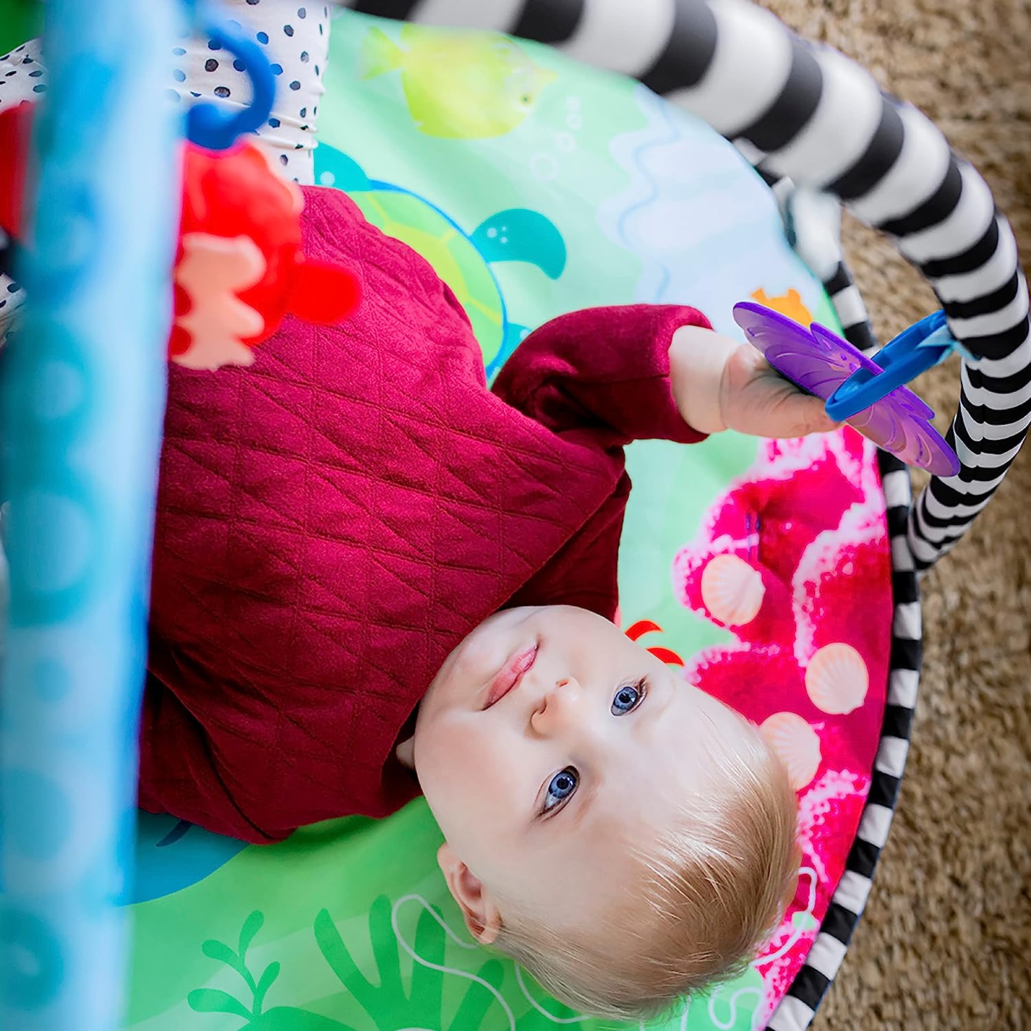 Baby Einstein Gym Sea Floor Explorers